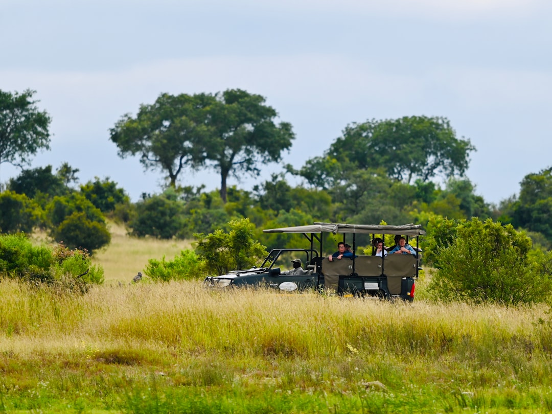 adventures by disney africa family safari