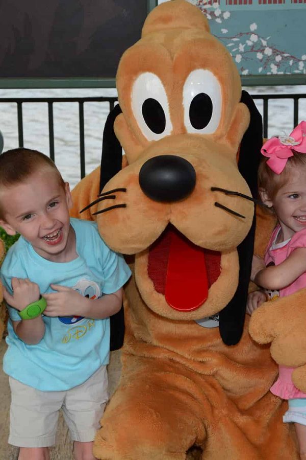 Disney World Travel Agent Charlotte NC